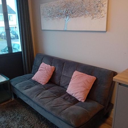 Compact One Bed Apartment Near University Of Limerick Junction Exteriör bild