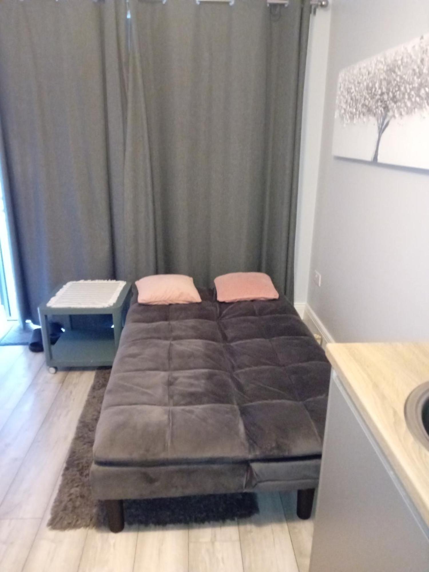 Compact One Bed Apartment Near University Of Limerick Junction Exteriör bild