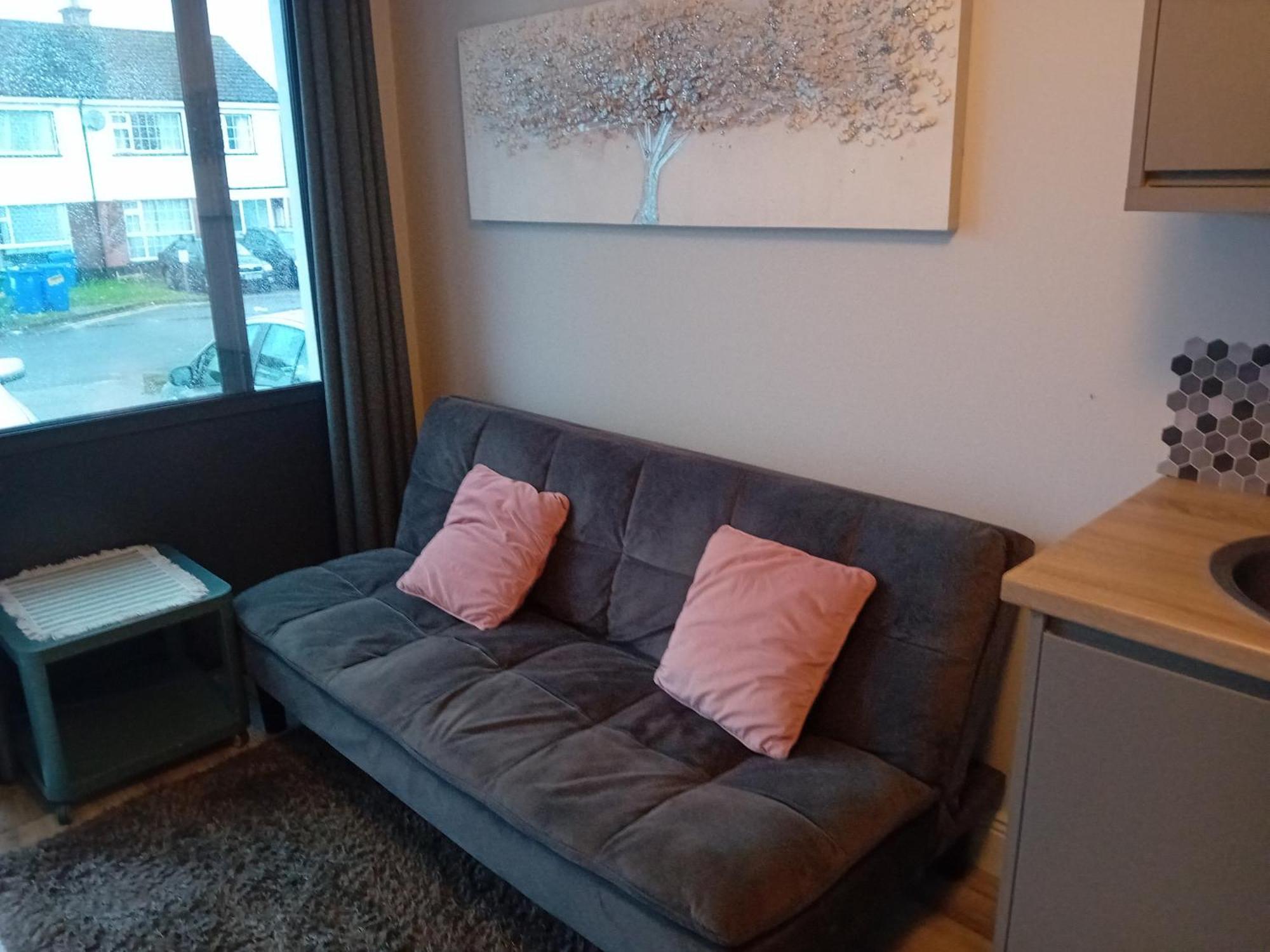 Compact One Bed Apartment Near University Of Limerick Junction Exteriör bild