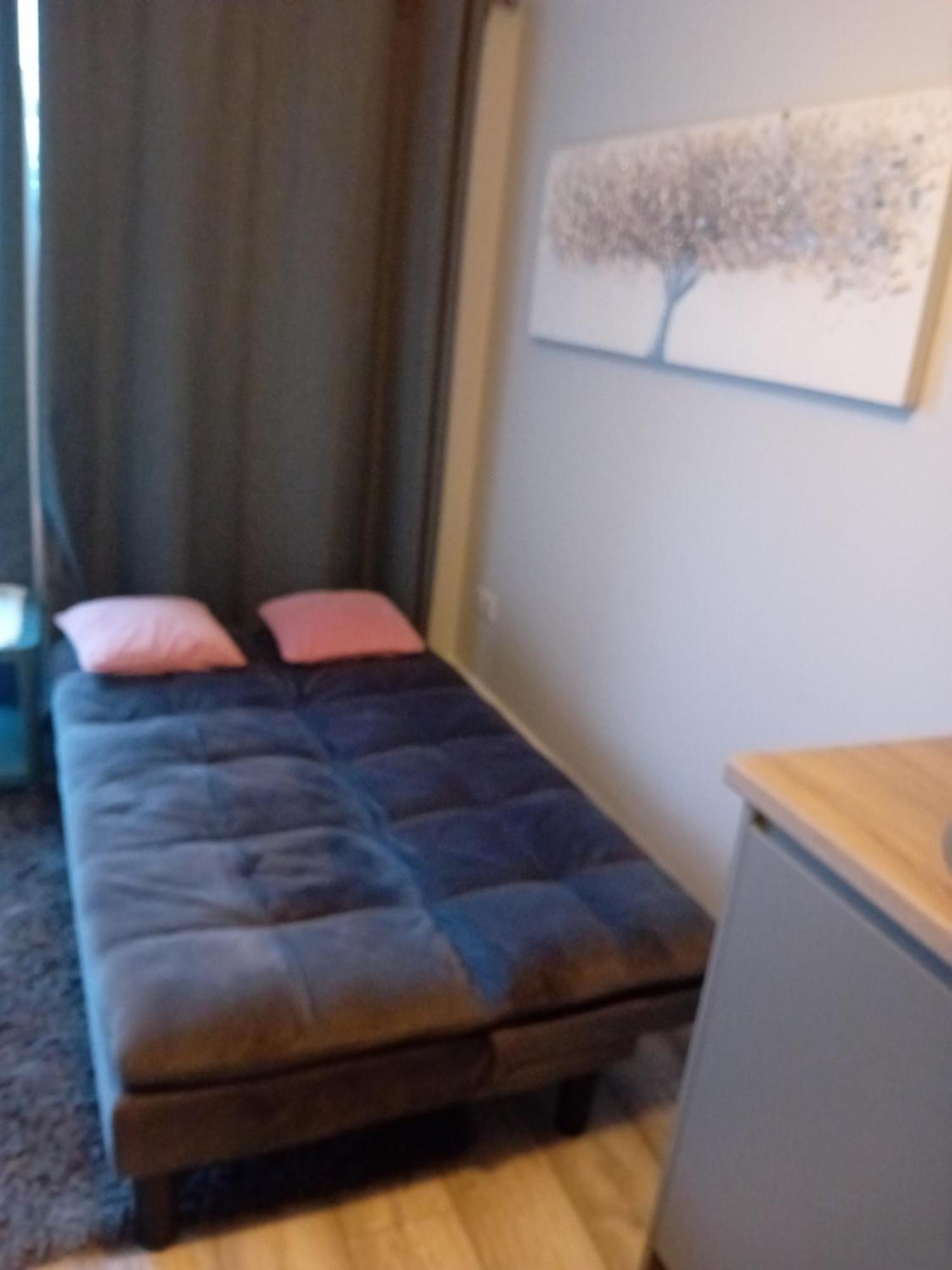 Compact One Bed Apartment Near University Of Limerick Junction Exteriör bild