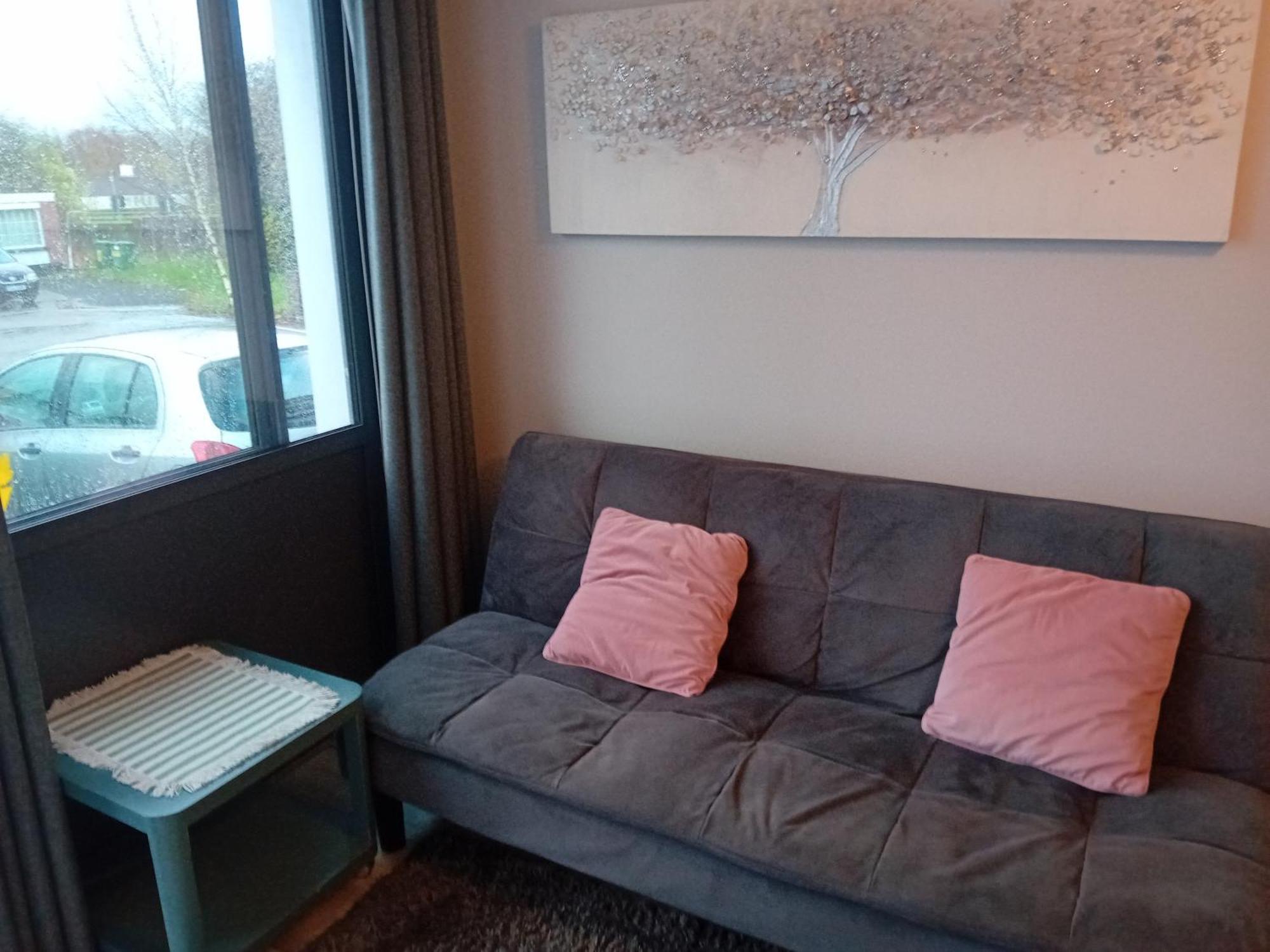 Compact One Bed Apartment Near University Of Limerick Junction Exteriör bild